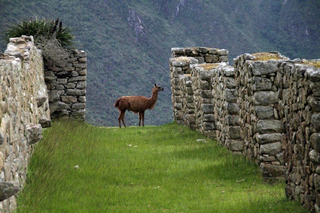 machu picchu 1018768 1280